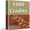 Buy 1000 Credits