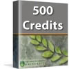 Buy 500 Credits